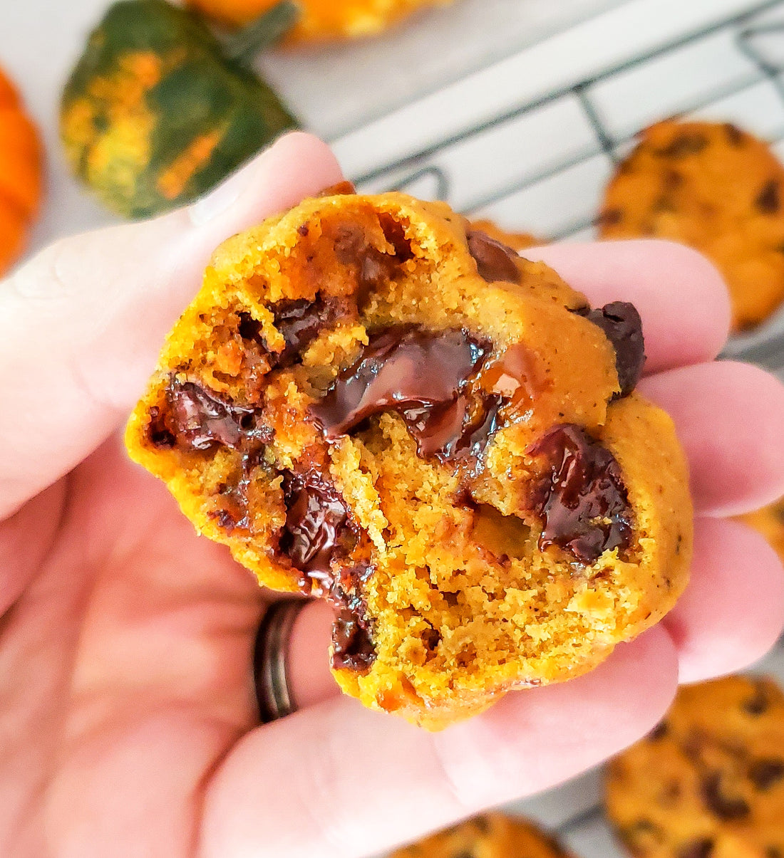 Pumpkin Chocolate Chip Muffins