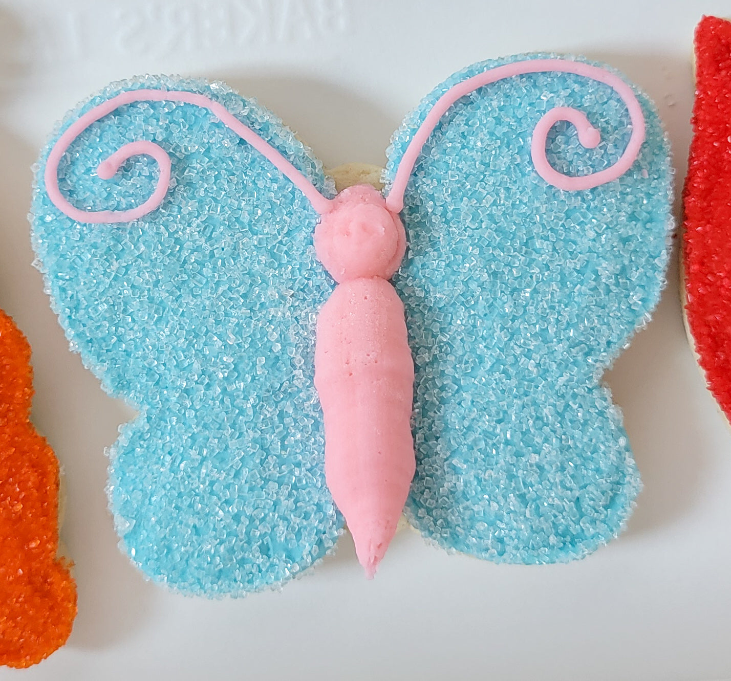 Easter Sugar Cookie Box