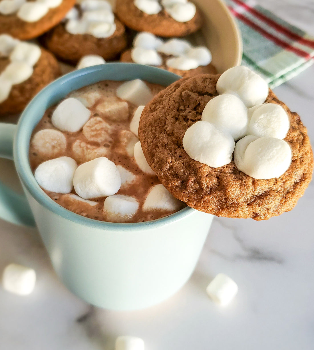 Hot Chocolate Cookies