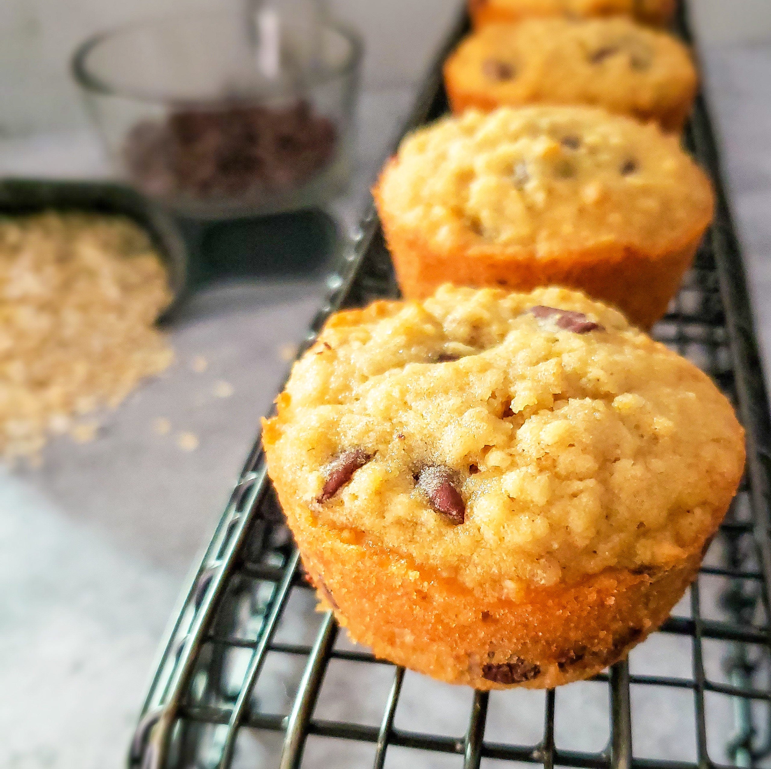 Oatmeal Chocolate Chip Muffins – Roses & Whiskers