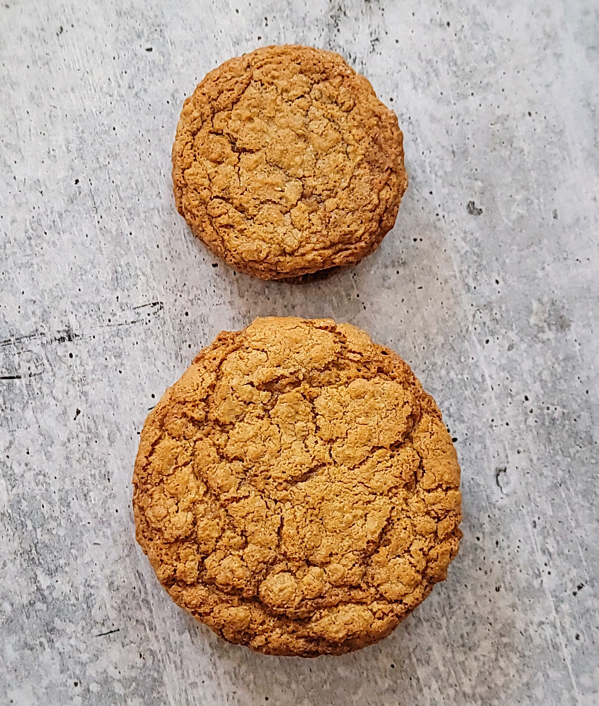 Large Oatmeal Creme Pie [June Exclusive]