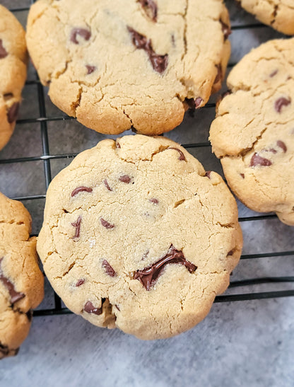 Single Chocolate Chip Cookie