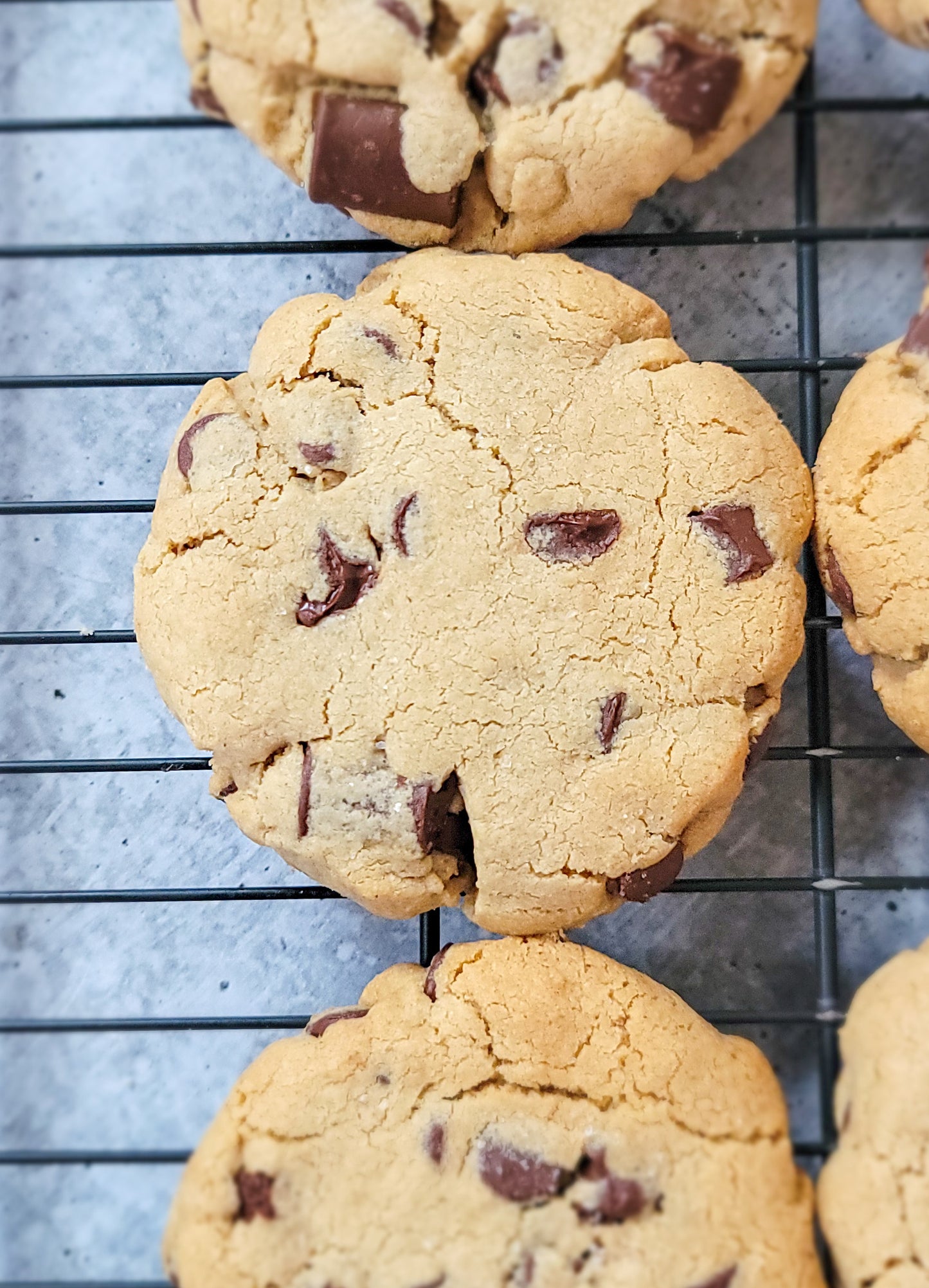 Single Chocolate Chip Cookie