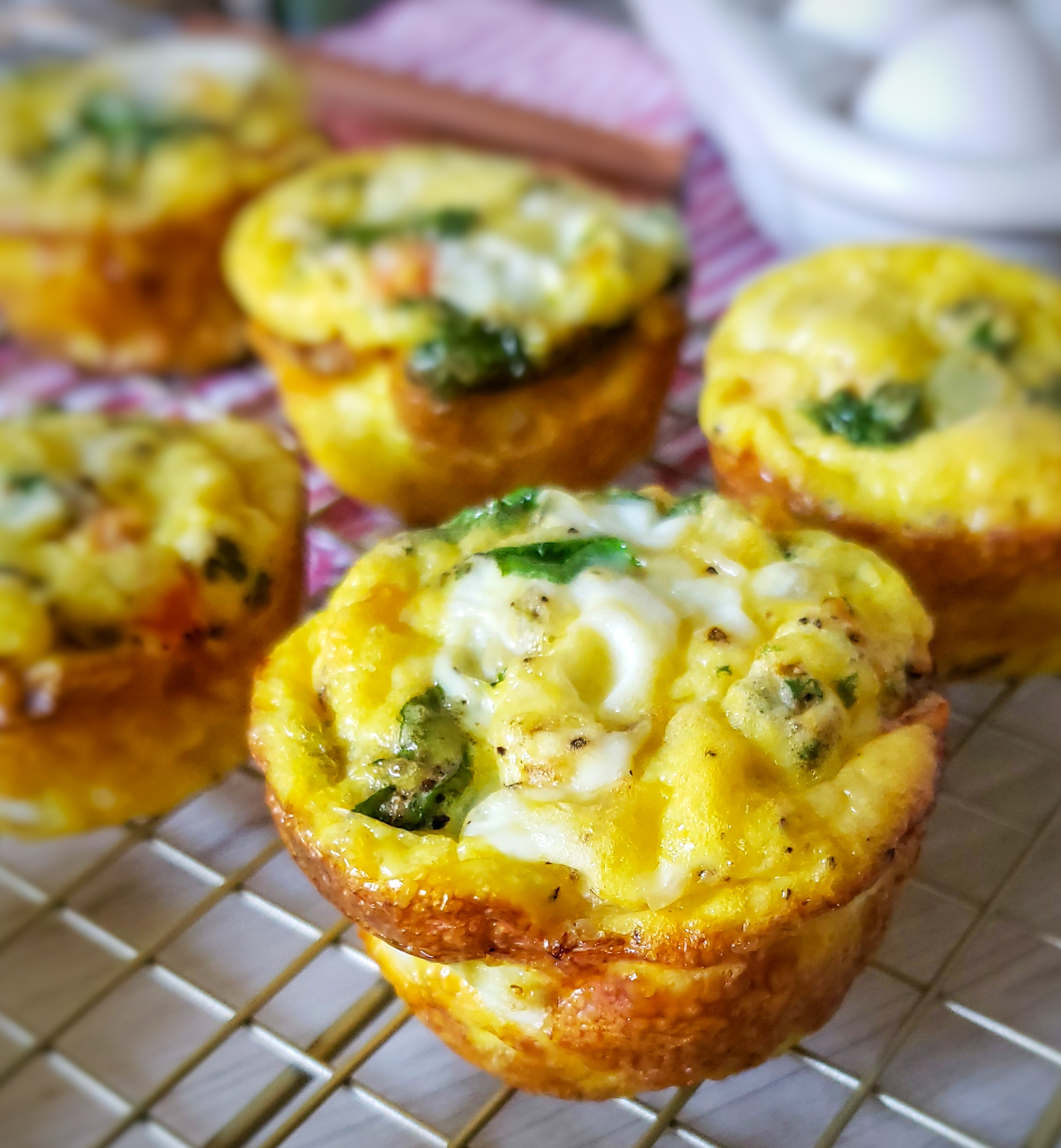 Egg Muffins - Roses & Whiskers